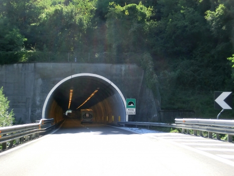 Polina Tunnel northern portal