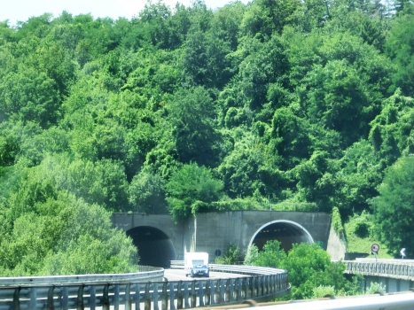 Polina Tunnel northern portals