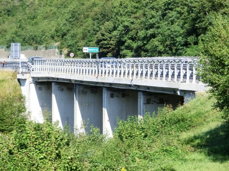 Rio Madoni Viaduct