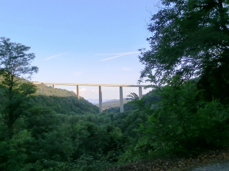 Rio Verde Viaduct