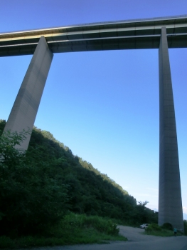 Rio Verde Viaduct