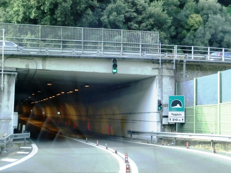 Muggiano Tunnel eastern portal