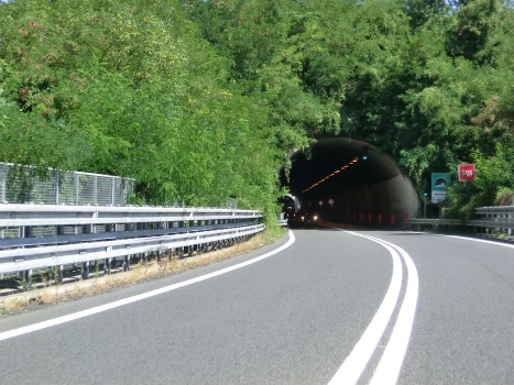 Valdilocchi Tunnel western portal