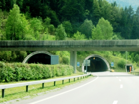 Cote de Chaux Tunnel northern portals