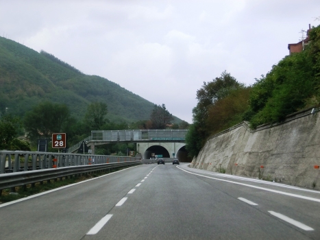 Tunnel de Monteforte