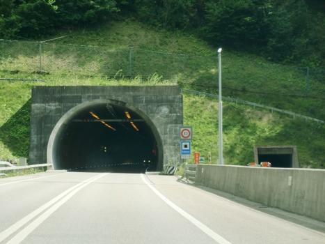 Tunnel du Raimeux