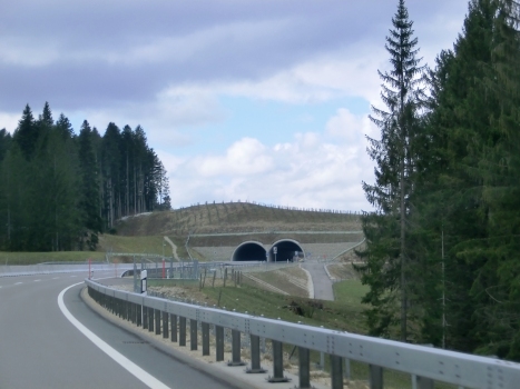 Bevilard Tunnel eastern portals