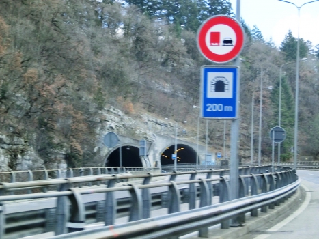 Taubenloch Tunnel I (on the left) and II northern portals