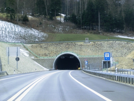 Court Tunnel northern portal
