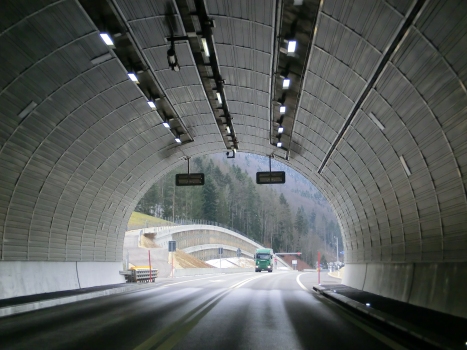 Tunnel de Court