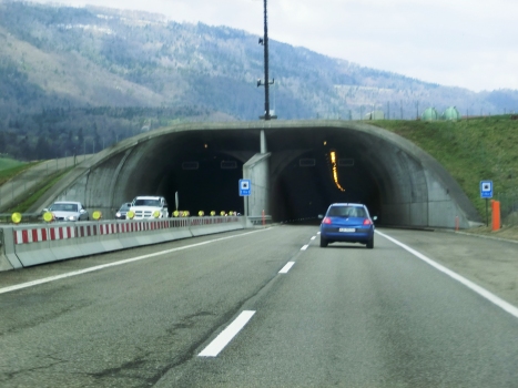 Develier Tunnel western portals