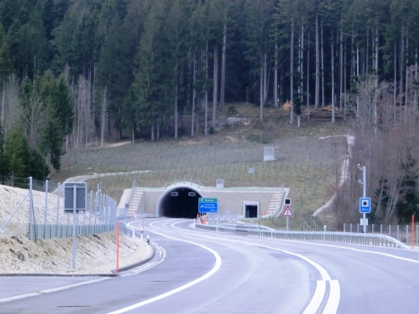 Tunnel de Loveresse
