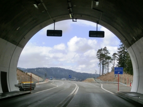 Loveresse Tunnel western portal