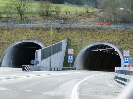 Tunnel de Moutier northern portals