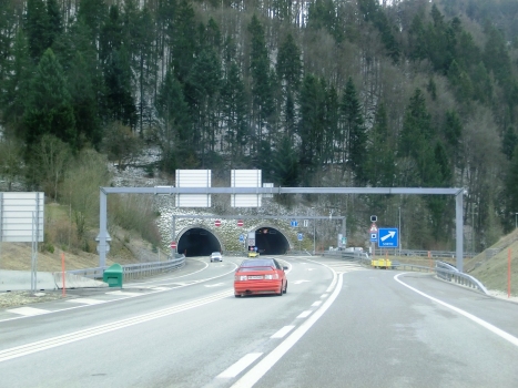 Pierre Pertuis Tunnel northern portals