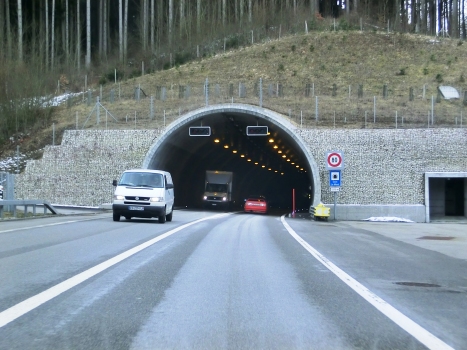 Sous le Mont Tunnel northern portal