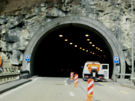 Tunnel Taubenloch III