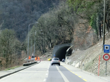 Taubenloch Tunnel V southern portal