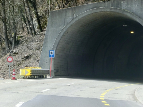 Taubenloch Tunnel V southern portal