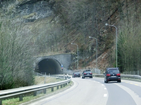 Tunnel de Taubenloch VI
