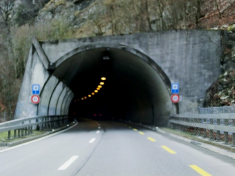 Taubenloch Tunnel VI northern portal