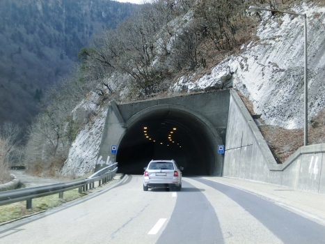 Taubenloch Tunnel VII southern portal