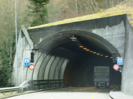Taubenloch-Tunnel VIII