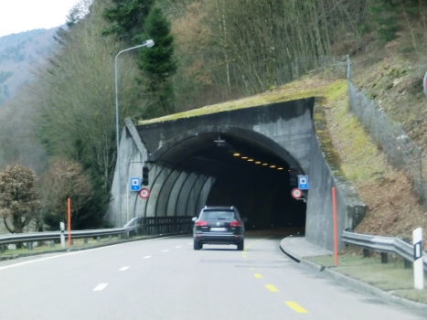 Taubenloch Tunnel VIII northern portal