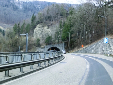 Tunnel Taubenloch IX