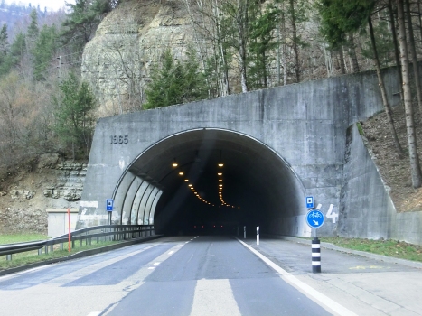 Taubenloch Tunnel IX southern portal