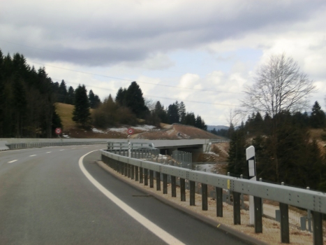 Montoz Viaduct