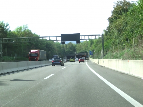 Tunnel Reinach