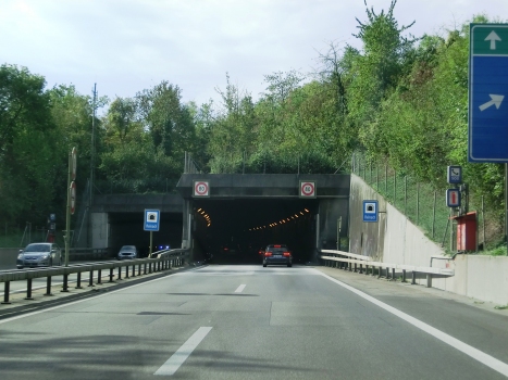 Reinach Tunnel northern portals