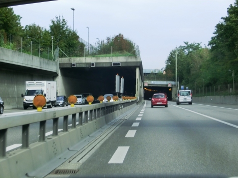 Tunnel de Reinach