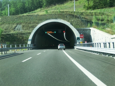 Sparvo Tunnel northern portal