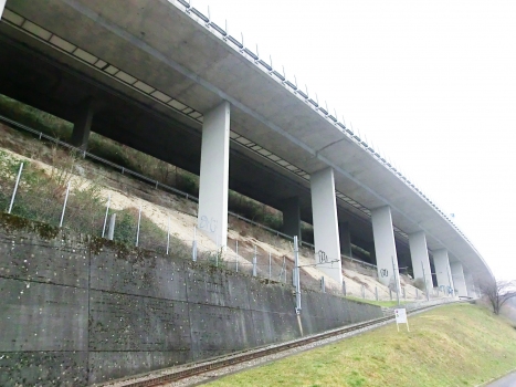 Cantine Viaduct and Monte Generoso rack railway