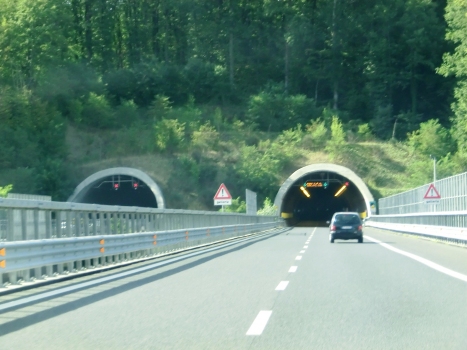 Cerreta Tunnel (Montesano) northern portals
