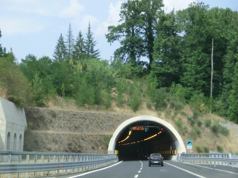 Cerreta Tunnel (Montesano) southern portal