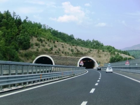 Deruitata Tunnel southern portals
