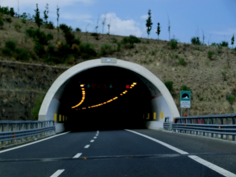 Deruitata Tunnel southern portal