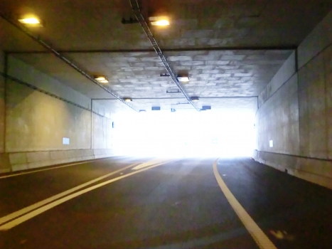 König-Willem-Alexander-Tunnel