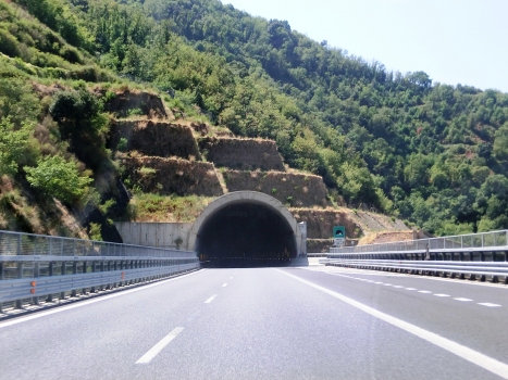 Muro Tunnel northern portal