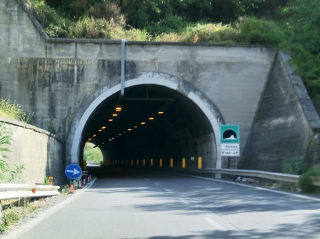 Parduna Tunnel southern portal