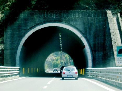 Profenna Tunnel northern portal