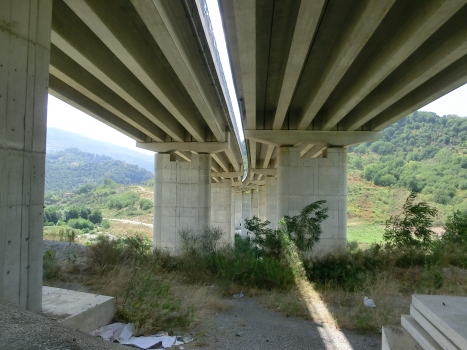 Talbrücke Carito