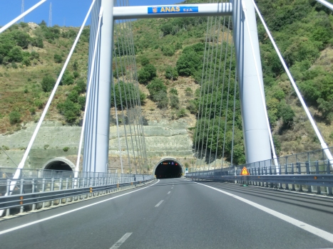 Favazzina Viaduct (direction Salerno) and, in the back, Muro Tunnel western portals