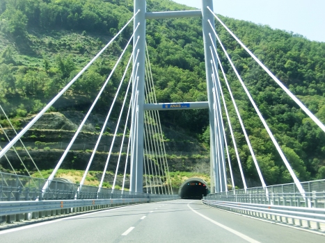 Favazzina Viaduct: Favazzina Viaduct (direction Reggio Calabria) and, in the back, Brancato Tunnel eastern portals