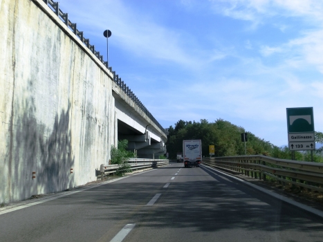 Gallinazzo Viaduct