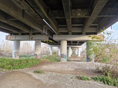 Viaduc de Trebbia