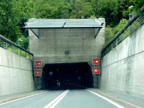 Tunnel de Mont Chemin